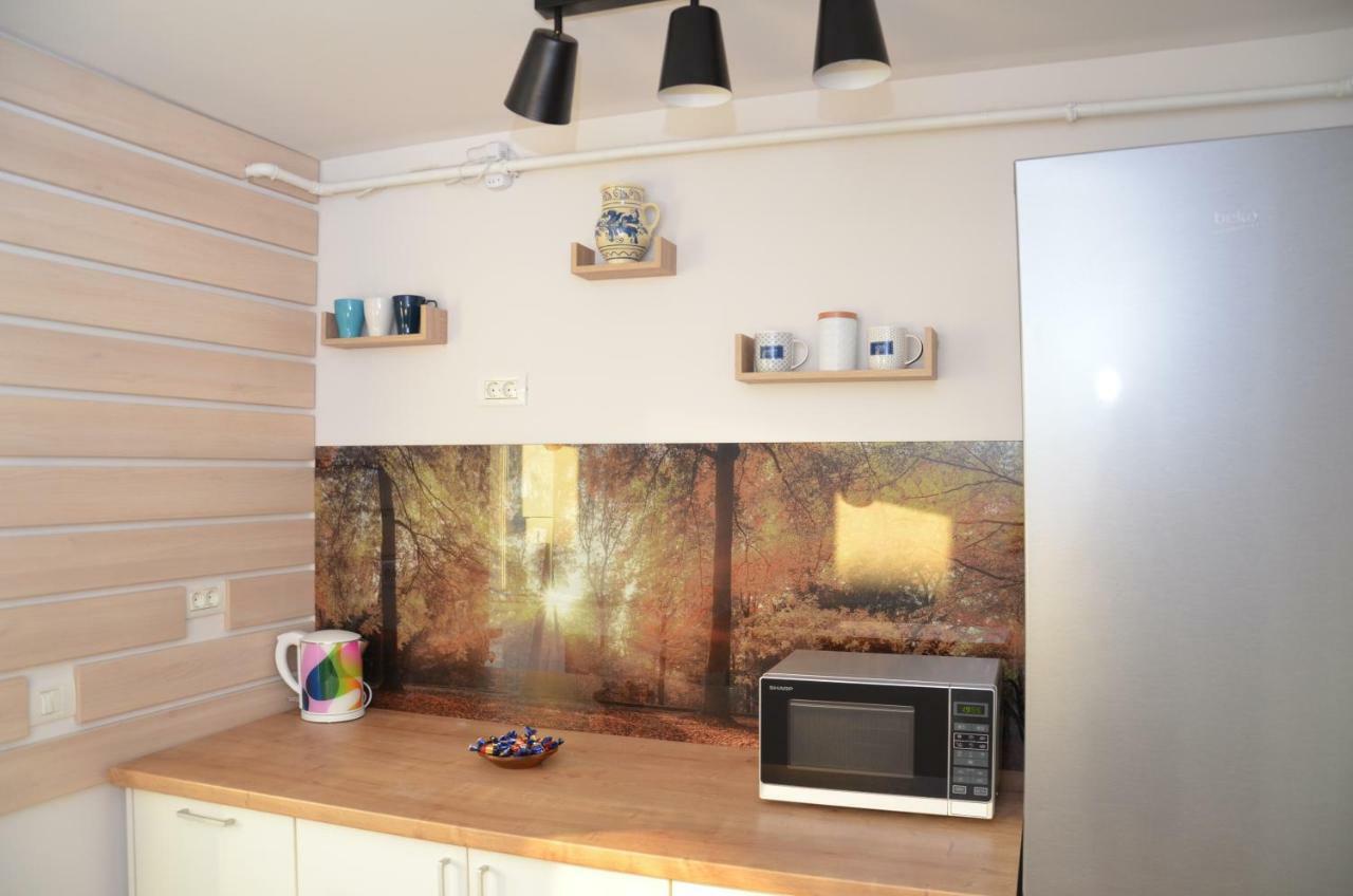 Modern And Cozy Apartment Pitesti Ngoại thất bức ảnh