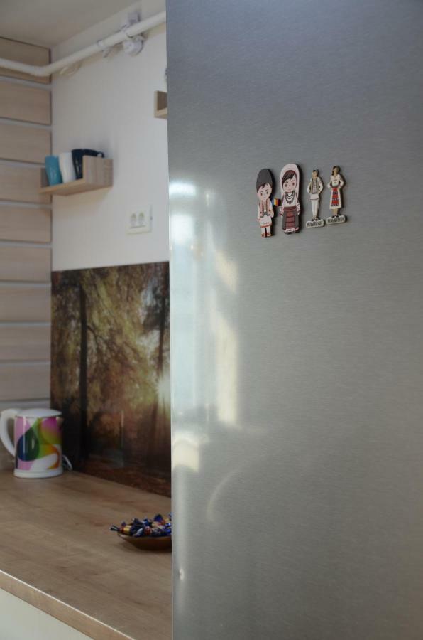 Modern And Cozy Apartment Pitesti Ngoại thất bức ảnh