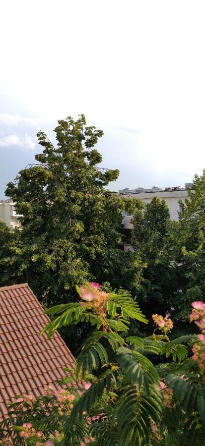Modern And Cozy Apartment Pitesti Ngoại thất bức ảnh